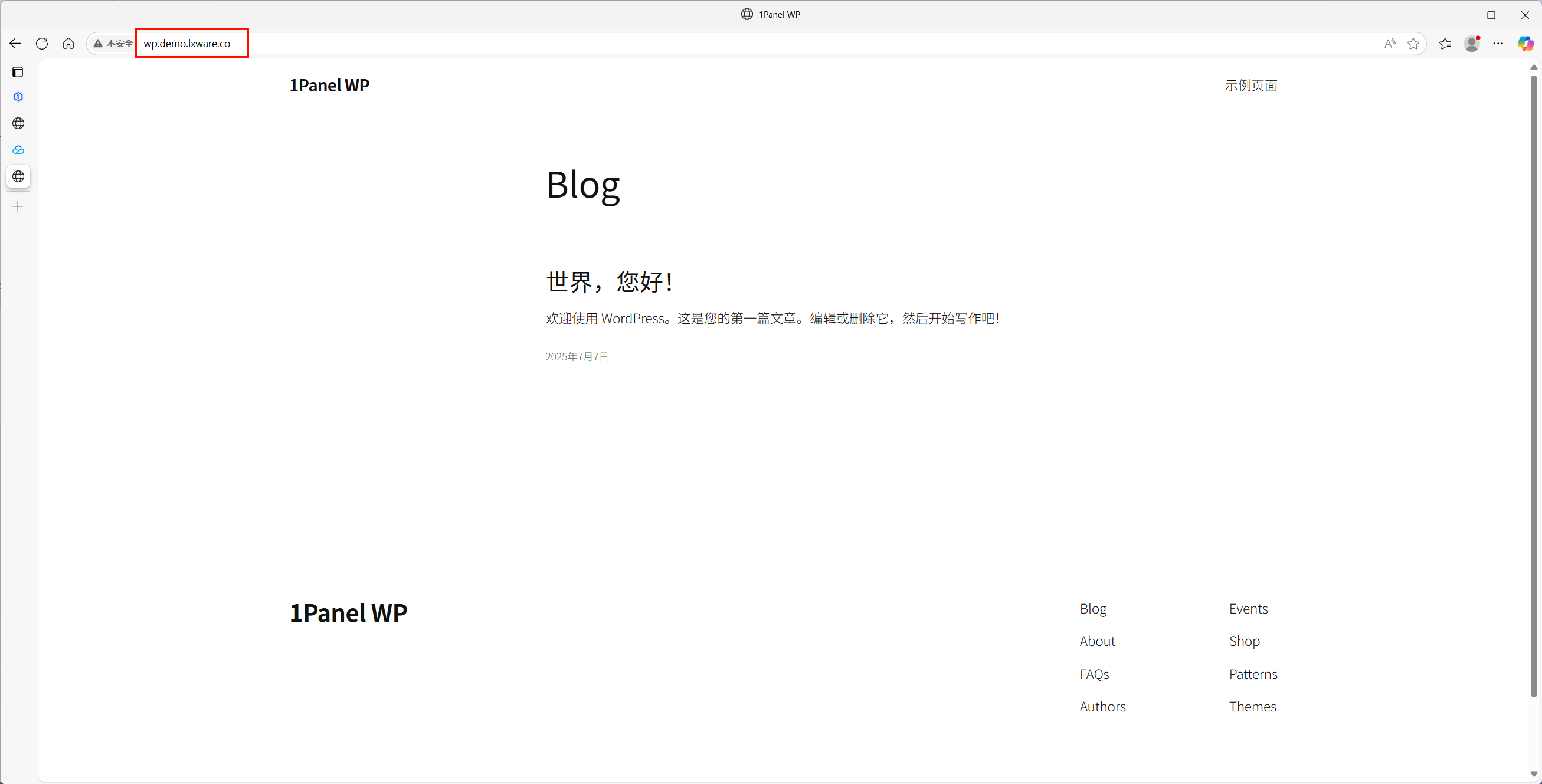 DNS 확인